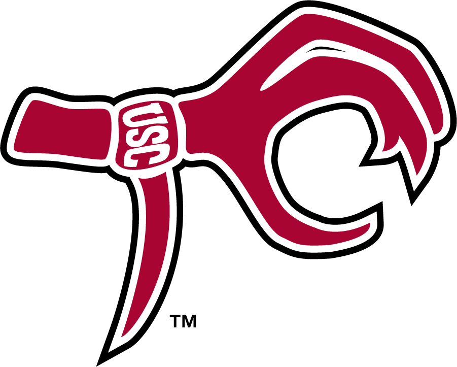 South Carolina Gamecocks 2006-2008 Misc Logo iron on transfers for clothing